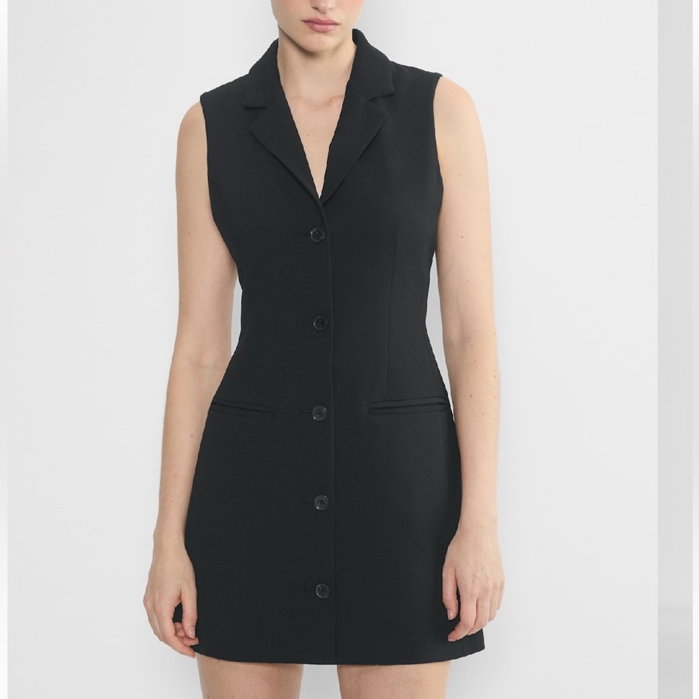 Babaton Aritzia dress